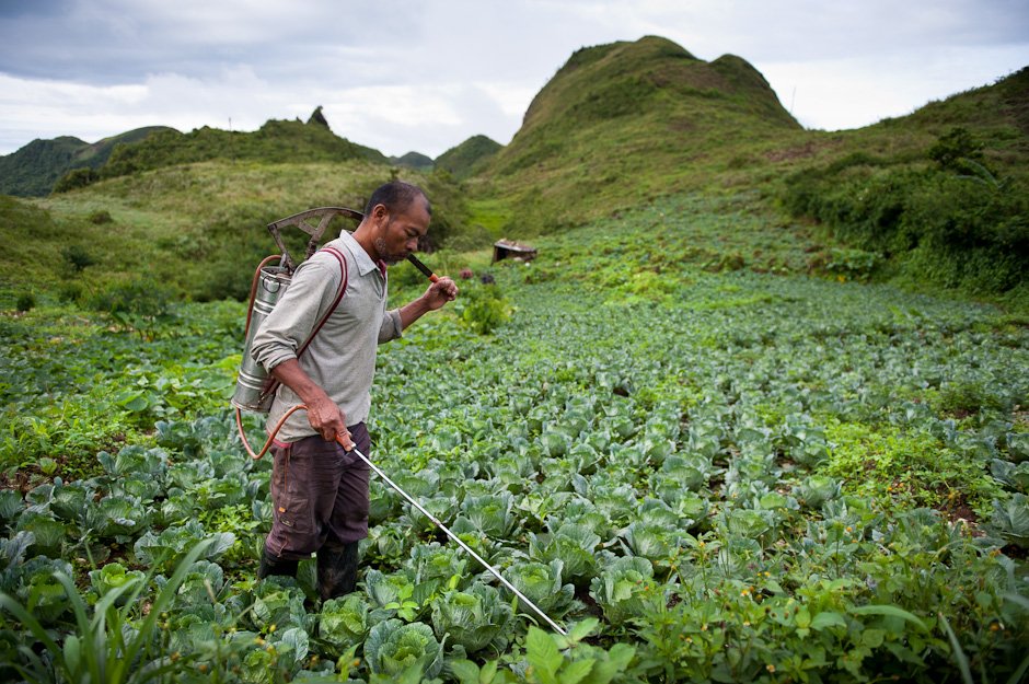 The Vegetable Farmers Of Mantalongon Photographer Jacob Maentz