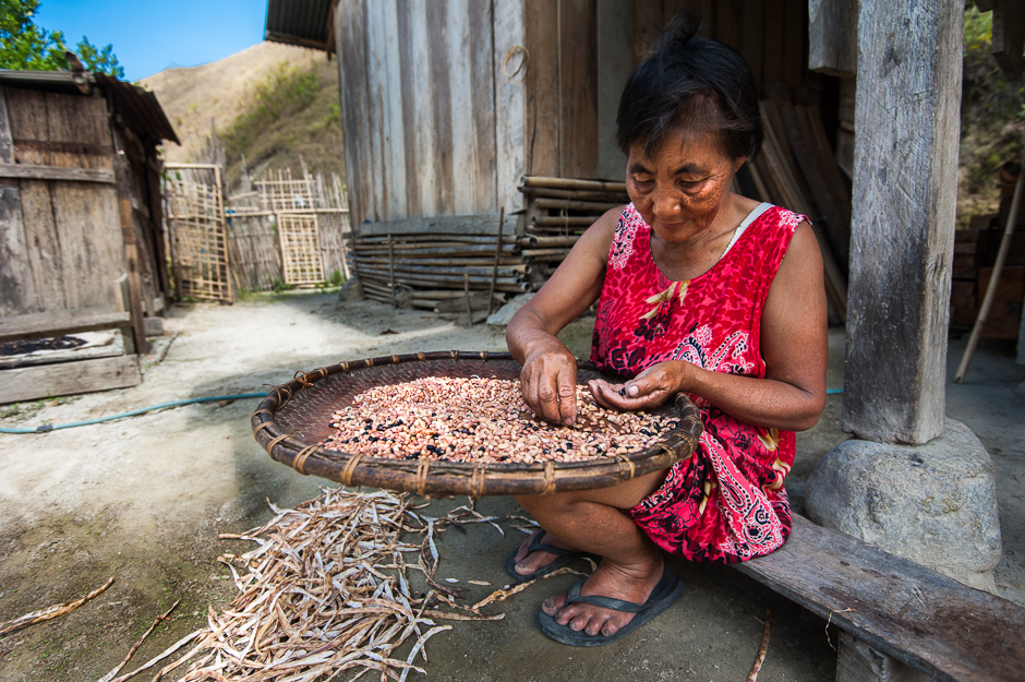 Sorting beans 