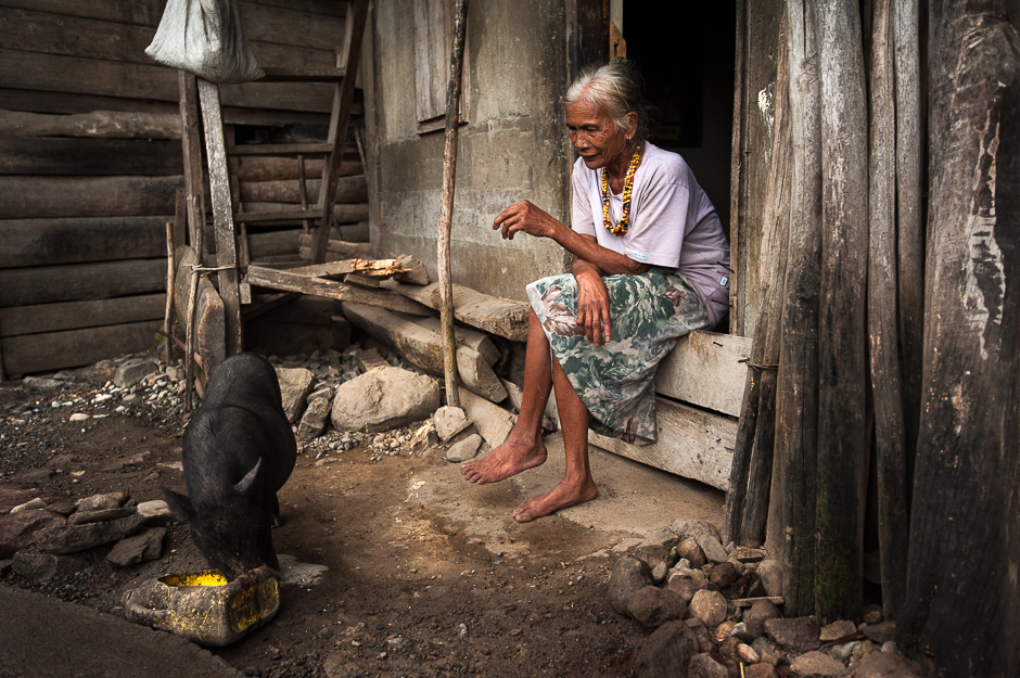 Kalinga woman feeding pig