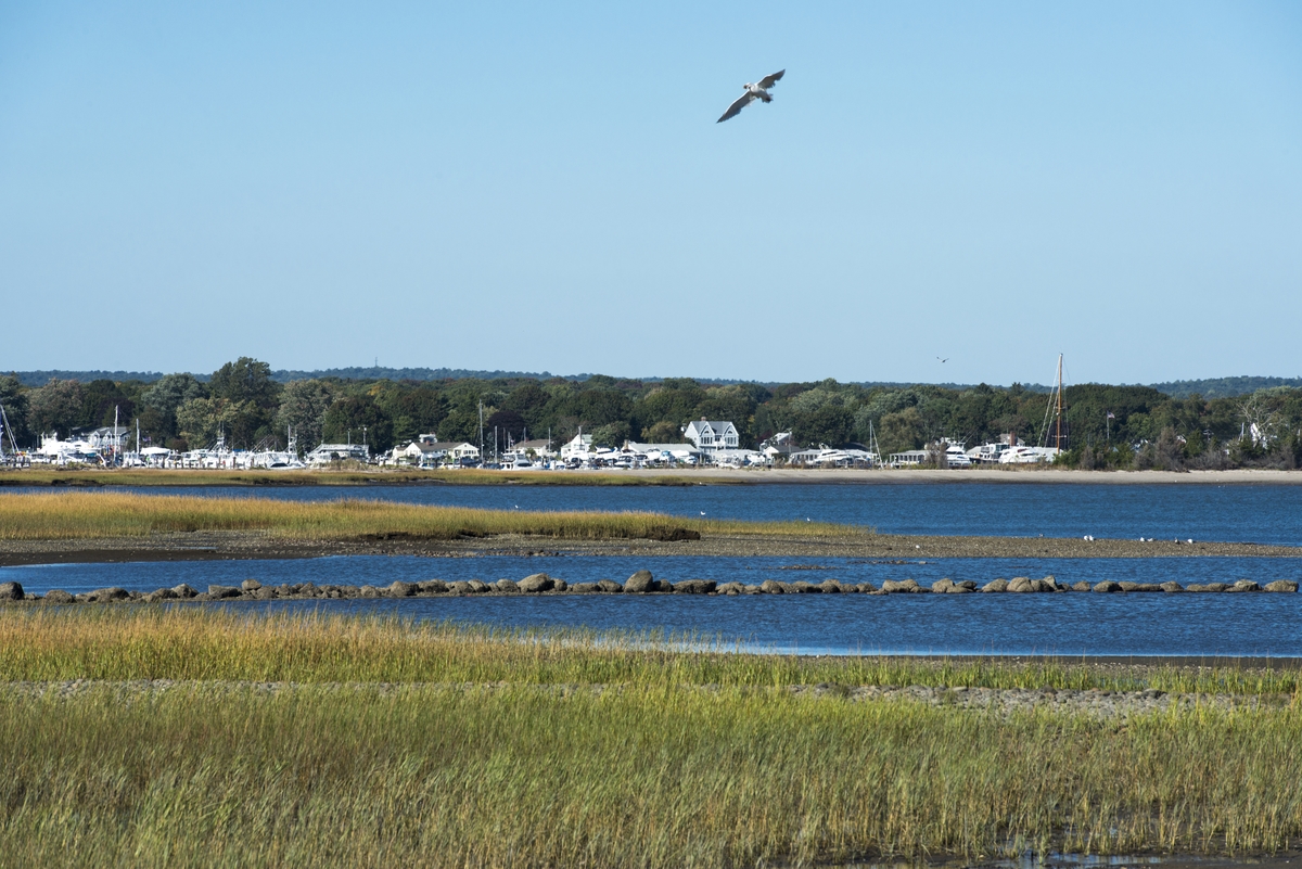 Connecticut shoreline