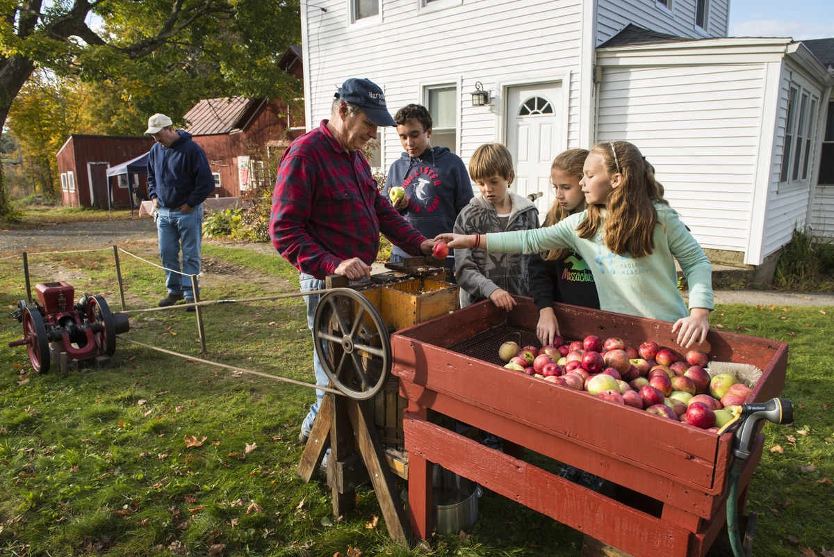 Making apple cider the traditional way