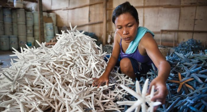 Olango Shell Olango Island Starfish Trade | Photographer Jacob Maentz